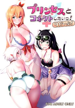 Princess to Connect Shitai! ReDive! | I want to connect with a princess! ReDive! (Princess Connect! Re:Dive)