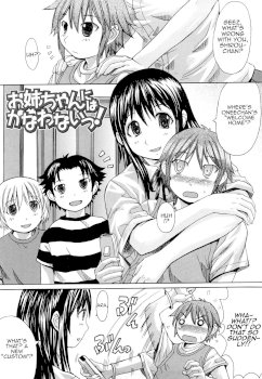 Oneechan ni wa Kanawanai! (Oppai na)
