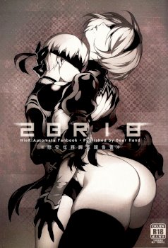 NieR : 2BR18 (NieR: Automata)