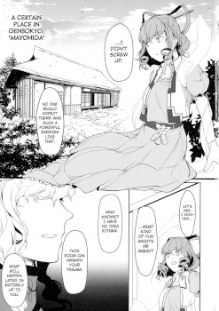 Reverse Damage (Touhou Project)