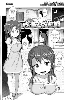 Imouto no Mune wa Seichou-ki (Nani Suru no!? Onii-chan!!)