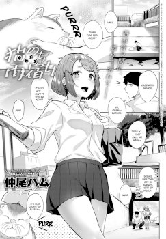 Neko nochi Amayadori (COMIC Anthurium 2021-04)